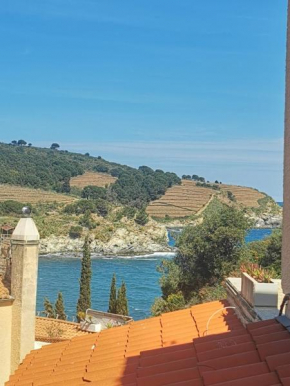 Banyuls Solaris